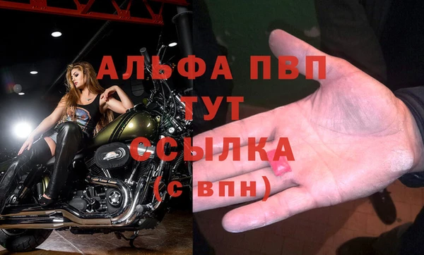 spice Баксан