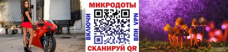 Купить  Сысерть  Галлюциногенные грибы Cubensis 